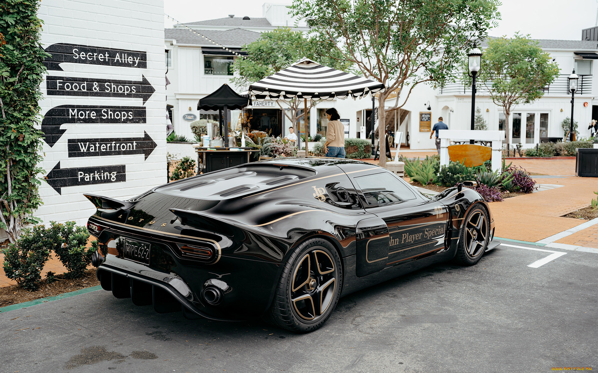 , lotus